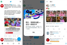 Twitter X v10.75.0 安卓绿化版