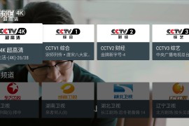 我的电视 v1.5.1 TV版