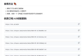 免费公益海外上网工具 4小时自动更新-vyse