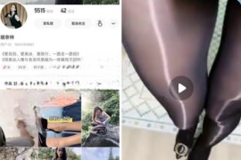 快手 丽奈梓 付费定制 黑丝自慰 6V