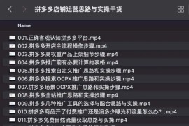 拼多多店铺运营思路与实操干货，当天入驻，当天开卖，稳定出单（13节课）
