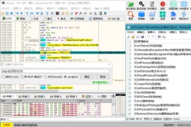 x64dbg中文版(反汇编逆向神器) 2024-03-08