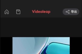 Videoleap v2.53 iOS绿化版