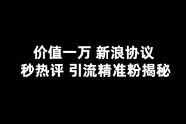  价值一万 新浪秒热评协议 引流精准粉揭秘