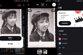 模糊人脸照片增强Remini v2.10.6 iOS绿化版