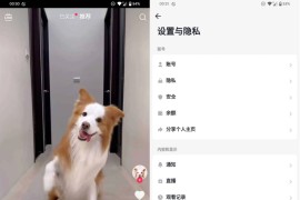 最新版TikTok 抖音国际版解锁版 v34.8.3 去广告 免拔卡