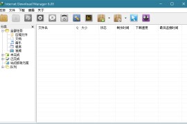 Internet Download Manager IDM v6.42.6 PC中文便携绿化版