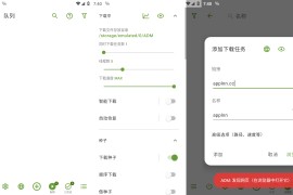 Advanced Download Manager Pro(ADM) v14.0.29安卓绿化版