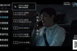 秒看电视 v9.2.15 TV绿化版