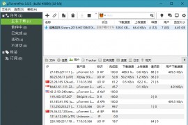 uTorrent PRO v3.6.0.46984 去除广告绿色版