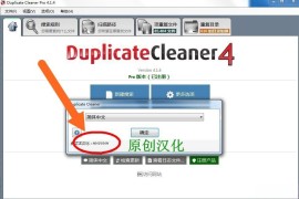 重复文件清理 Duplicate Cleaner Pro V4.1.4 完全汉化绿色版20.11.18更新 附单独补丁