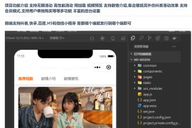 仿抖音滑动小短剧影视带支付收益等模式的微信小程序源码