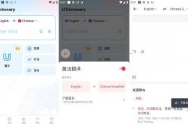 有道词典U-Dictionary v7.6.8/v6.6.4 安卓绿化版