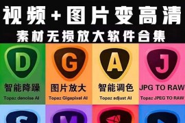 Topaz Ai全套汉化软件8套全，最强人工智能处理！