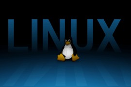 Linux Kernel 5.9.11 Stable / 4.19.160 LTS