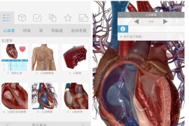 生理和病理学 1.1.39