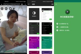 XPlayer v2.3.9(2.3.9)  安卓绿化版