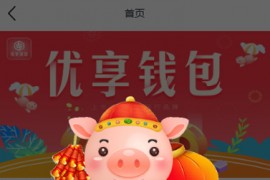 【借贷网贷源码】一套UI红色非常漂亮的借款借贷网袋程序系统源码[ThinkPHP内核]