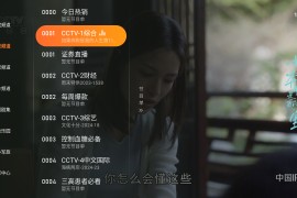 飞沙 v1.0.105 TV版