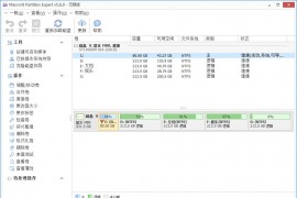 Macrorit分区专家 v8.1.0.0 中文注册版单文件