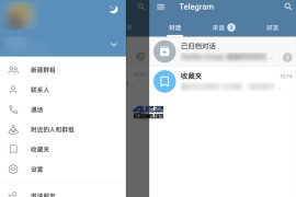 Telegram v10.9.1 安卓绿化版