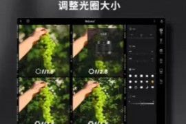 ReLens大光圈单反相机 v4.0 iOS绿化版