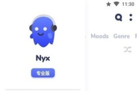 Nyx音乐播放器 v2.4.4 安卓绿化版