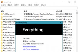 文件搜索工具Everything v1.4.1.1024 正式版