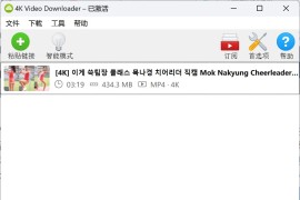 视频下载器：4K Video Downloader+ v1.9.4 中文绿色便携版
