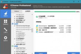 CCleaner中文破解版v6.22.10977 绿色便携版