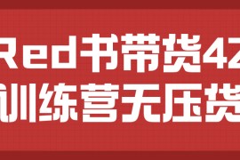 小Red书带货42天训练营（2.0版），普通人月收过万的带货课