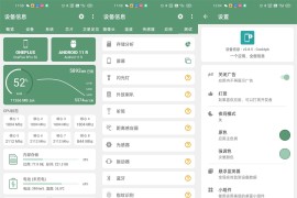 设备信息 v2.9.9 安卓绿化版