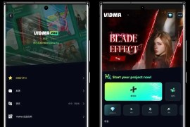 Vidma v2.1.2.200 安卓绿化版