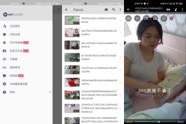 MX Player MX播放器 v1.78.6 安卓绿化版