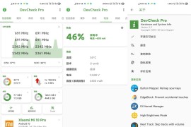 DevCheck v5.35 安卓绿化版