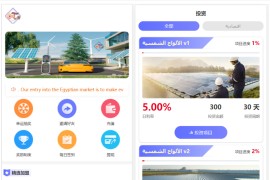 运营版阿拉伯投资理财系统/海外投资众筹系统/前端vue