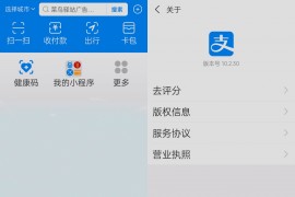 支付宝app支付宝谷歌版 v10.5.63 安卓最新版