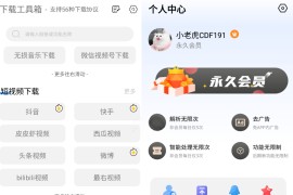 下载工具箱 v3.8.9 安卓绿化版