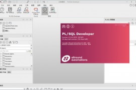  【Oracle客户端】PLSQL Developer 15 (64 bit)最新版安装使用教程（亲测）【Oracle客户端】PL