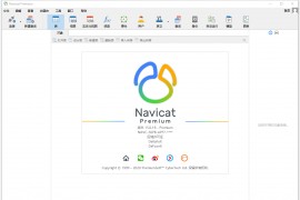 数据库管理 Navicat Premium v16.2.2 绿色破解版